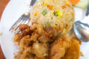 Chicken fries rice with close up view
