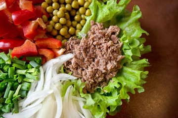 Abstract, blurry shot. Freshly made vegetable salads on plate on rustic background. Tuna with green lettuce, peas, paprika or red pepper, onion slices and spring onions. Delicious meal for breakfast. 