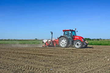 Farmer with tractor sows corn