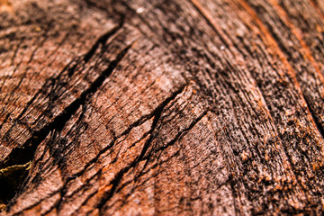 Old dark wood texture background. Macro close-up photography