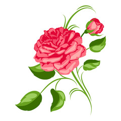 Decorative element with red roses. Beautiful flowers.