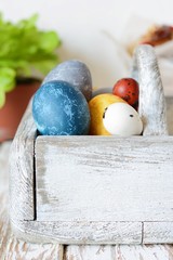 Colored Easter eggs in a wooden basket on a white background. Happy easter. Easter decoration.