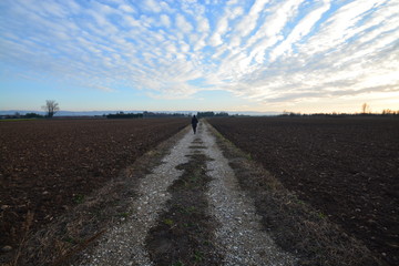 Fototapeta na wymiar El campo listo para la siembra, Francia