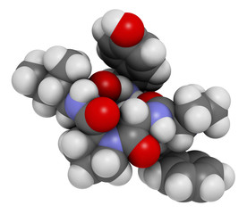 Beta-casomorphin peptide 7 molecule. Breakdown product of casein that may play a role in human diseases. 3D rendering. Atoms are represented as spheres with conventional color coding.