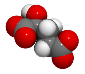 2-hydroxyglutarate molecule. 3D rendering. Atoms are represented as spheres with conventional color coding: hydrogen (white), carbon (grey), oxygen (red).