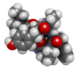 Beta-casomorphin peptide 7 molecule. Breakdown product of casein that may play a role in human diseases. 3D rendering. Atoms are represented as spheres with conventional color coding.