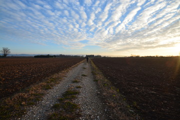 Fototapeta na wymiar El campo listo para la siembra, Francia