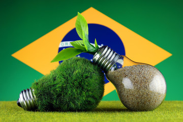 Green eco light bulb with grass, plant growing inside the light bulb, and Brazil Flag. Renewable energy. Electricity prices, energy saving in the household.