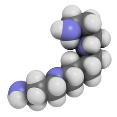 Spermine molecule. 3D rendering. Atoms are represented as spheres with conventional color coding: hydrogen (white), carbon (grey), nitrogen (blue).