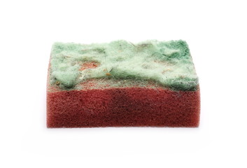 Old, dirty sponge isolated on white background