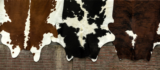 Natural cow skin