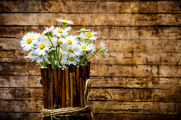 Daisy flowers in a wooden pot