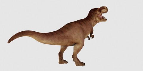 Extremely detailed and realistic high resolution 3d illustration of a T-Rex Dinosaur isolated on white Background © Sasa Kadrijevic