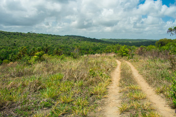 Countryside road on Itamaraca Island - Pernambuco, Brazil