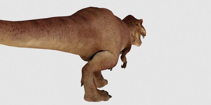 Extremely detailed and realistic high resolution 3d illustration of a T-Rex Dinosaur isolated on white Background