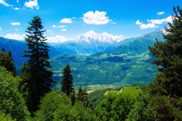 Fototapeta na wymiar Alpine mountain landscape in spring. Swiss Alps. Green valley with snowy summit in Switzerland.