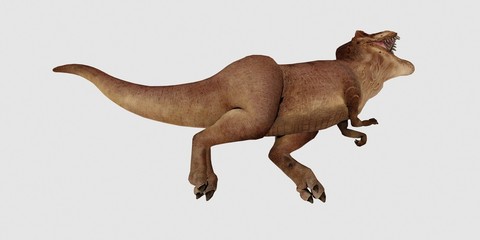 Extremely detailed and realistic high resolution 3d illustration of a T-Rex Dinosaur isolated on white Background © Sasa Kadrijevic