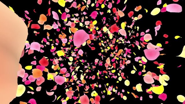 Colorful Flower Petals fluttering background