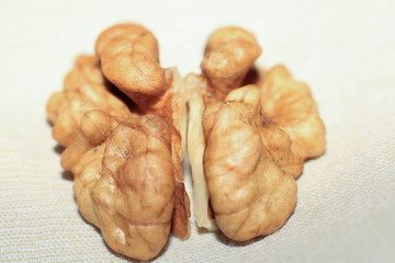 halves of peeled walnut resembling the human brain