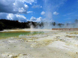 Steamy pool in Wai-o-Tapu, New Zealand