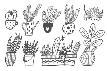 Muurstickers Set of house plants in pots isolated on white background. Vector Illustration. © Daria