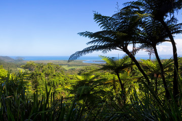 Fototapeta na wymiar The Daintree River and coastline from Mt Alexandra Lookout in Tropical North Queensland, Australia