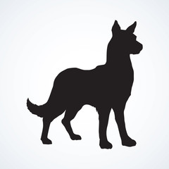 Wolf. Vector drawing