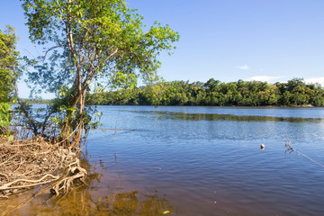 The idyllic Daintree River in Tropical North Queensland, Australia
