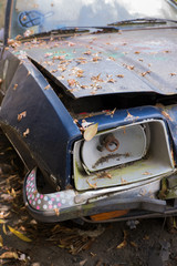 Old german car is on the street