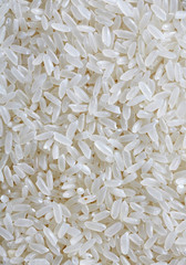 Closeup rice on dark background
