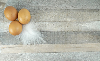 Brown chicken eggs with feather at wooden background