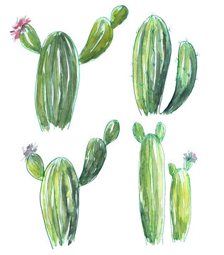 Set of watercolor illustrations of cactus.