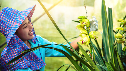 The young woman worker is taking care of the orchid flower in garden. Cymbidium orchid yellow.