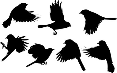 set of seven flying tits isolated on white © Alexander Potapov