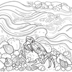 Crab by the river, river freshwater molluscan, the pebbles, waves of water. Coloring books.