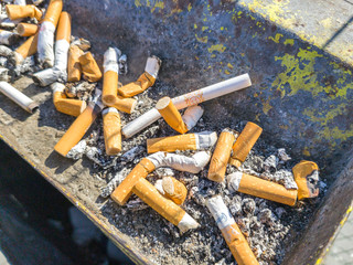 ZAGRED, CROATIA - MAY 10,2017: Discarded cigarette butts with selective focus