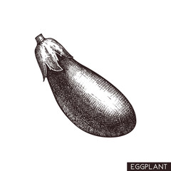 Vector illustrations of eggplant.  Hand drawn vegetable in engraved style. Healthy food drawing. Fresh and organic farm product for menu design.