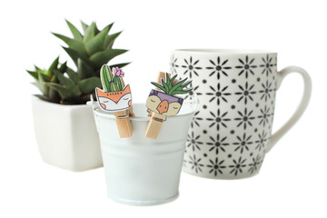 Succulents, cup and flower bucket