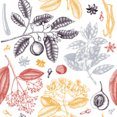 Vector background with tonic and spicy plants. Hand drawn seamless pattern with spices illustrations. Vintage aromatic elements. Sketched flowers, leaves, seeds, fruits, nuts, beans.