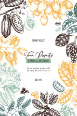 Vector design template with tonic and spicy plants. Hand drawn spices illustrations. Vintage frame with aromatic elements. Perfumery and cosmetics ingredients on chalkboard