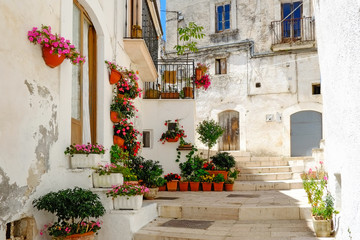 Fototapeta na wymiar fiori rossi su bianco borgo d'Italia 