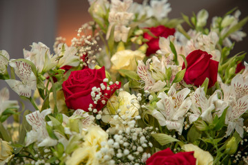 rosas vermelhas