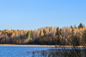  The shore of the lake Smardie. The reflection in the water