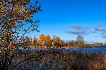  The shore of the lake Smardie. The reflection in the water