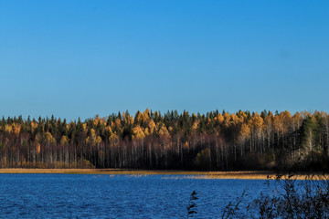  The shore of the lake Smardie. The reflection in the water