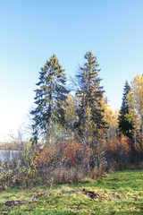 Obraz premium The shore of the lake Smardie. The reflection in the water