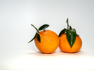 Mandarins with stem and leaves, small