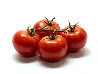 tomato, shrub tomatoes with stems, large, white background