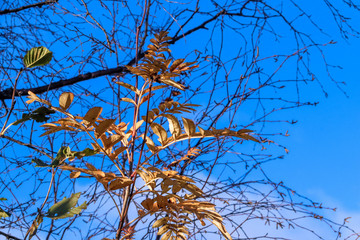  The shore of the lake Smardie. The reflection in the water