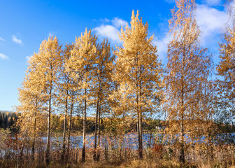  The shore of the lake Smardie. The reflection in the water